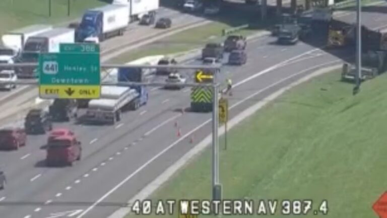 A Truck Carrying 1 Million Bees Just Crashed on I-40 in Knoxville