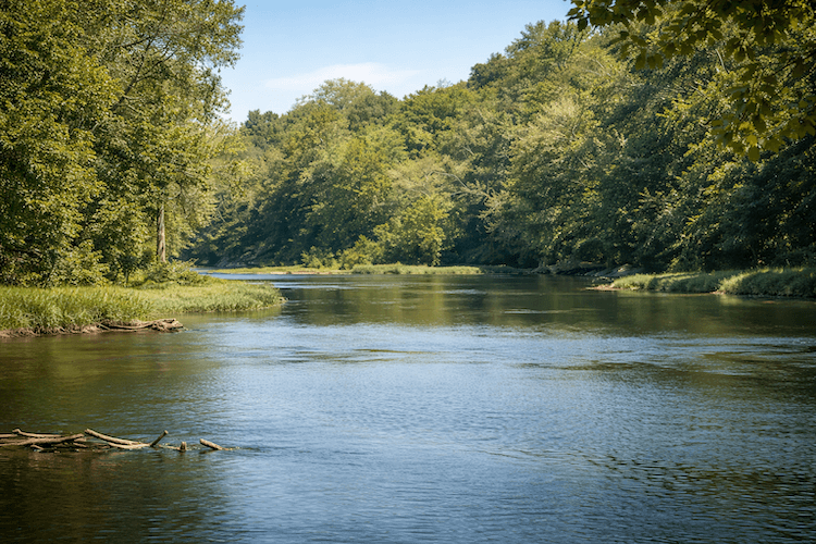 Tennessee Just Passed a Law to Keep the Duck River Clean — And It's a Big Deal