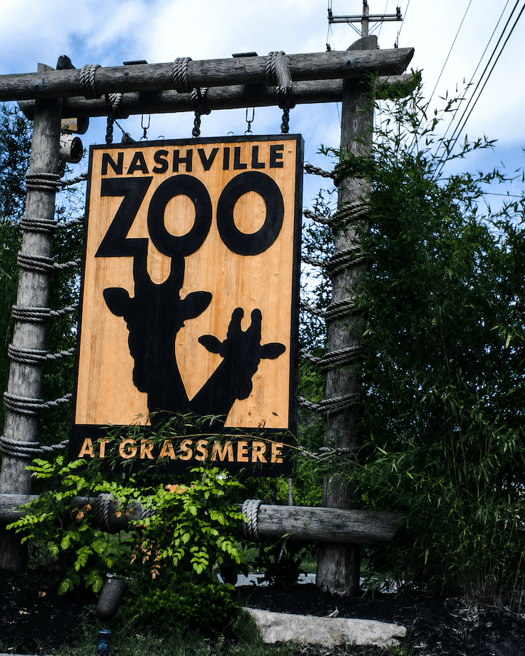 Everything Visitors Need To Know About The Data Center Fight Next To The Nashville Zoo