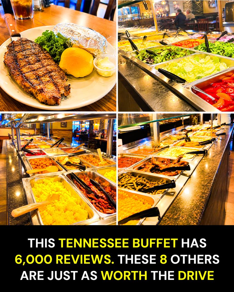 This Tennessee Buffet Has 6,000 Reviews. These 8 Others Are Just as Worth the Drive