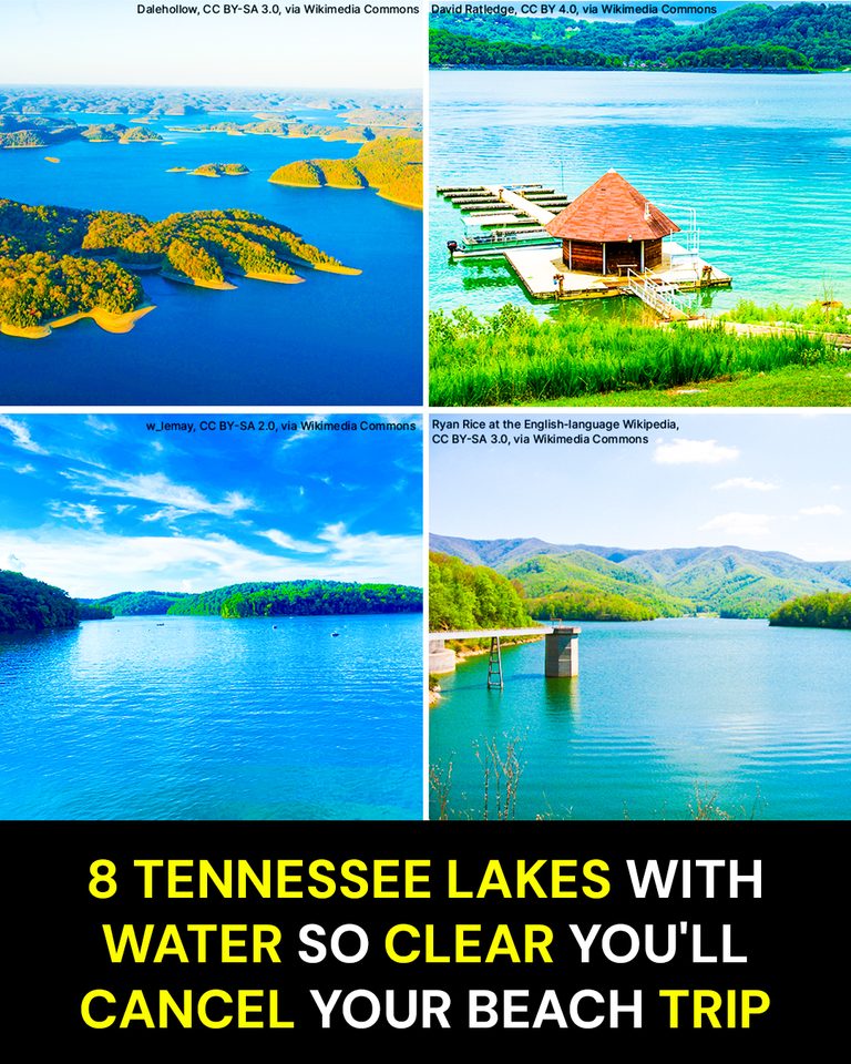 8 Tennessee Lakes With Water So Clear You’ll Cancel Your Beach Trip