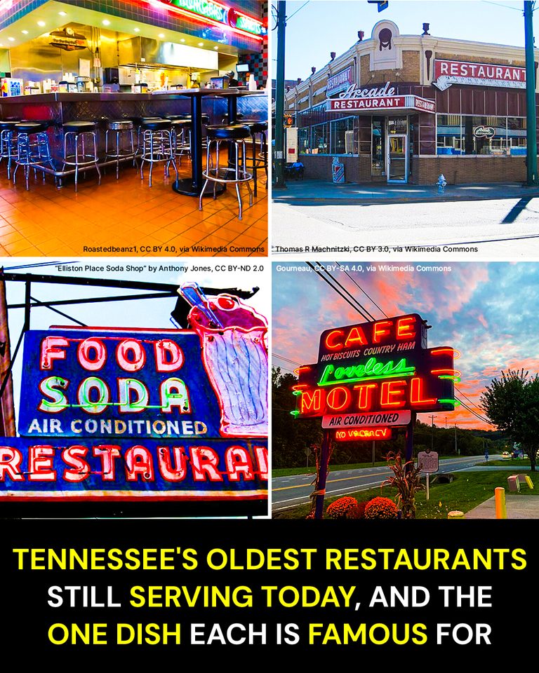 Tennessee’s Oldest Restaurants Still Serving Today, and the One Dish Each Is Famous For
