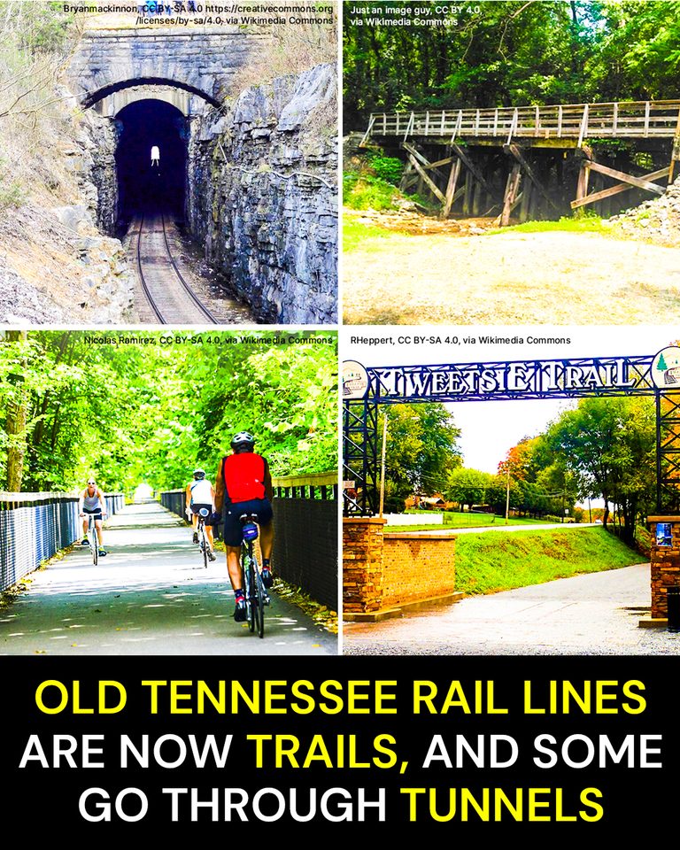 Old Tennessee Rail Lines Are Now Trails, and Some Go Through Tunnels