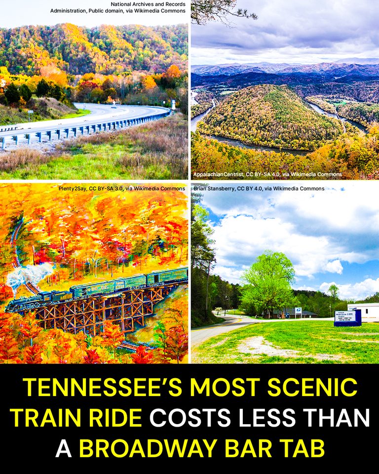 Tennessee’s Most Scenic Train Ride Costs Less Than a Broadway Bar Tab