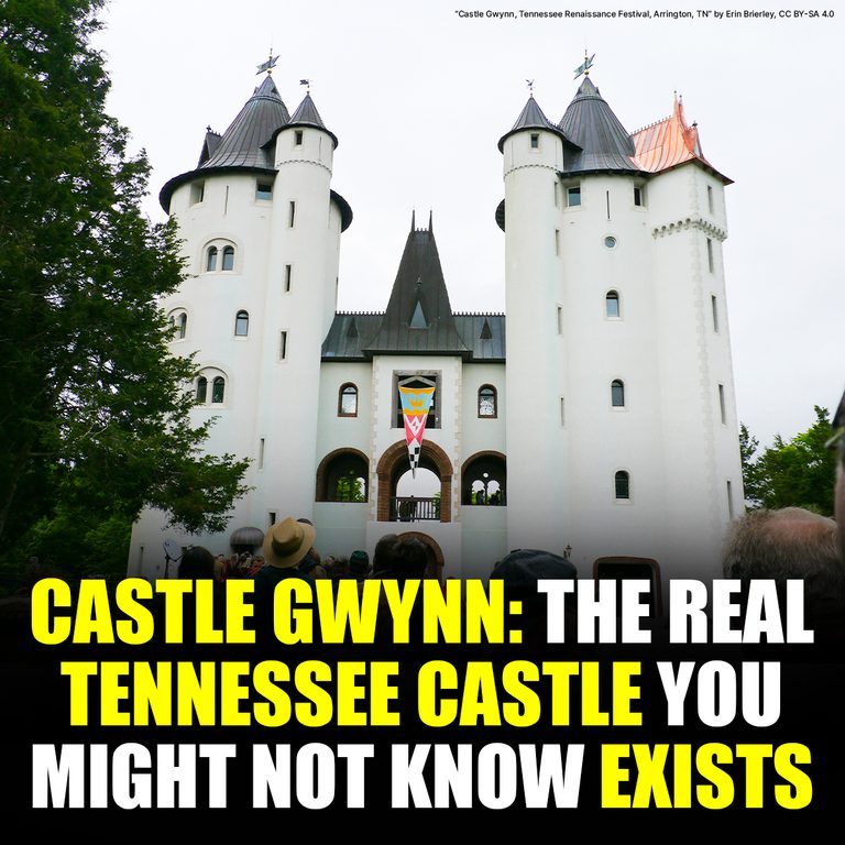 There’s a Seven-Story Castle Hiding in the Tennessee Countryside — and Yes, People Actually Live There