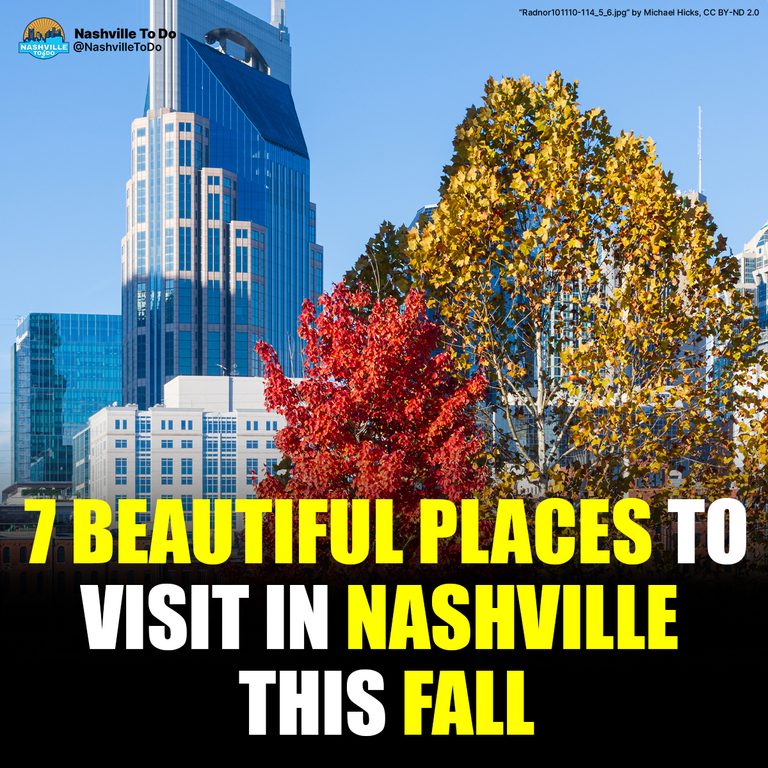 7 Beautiful Places to Visit in Nashville This Fall