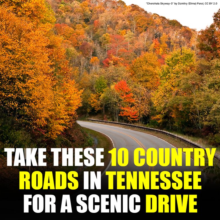 Take These 10 Country Roads In Tennessee For A Scenic Drive