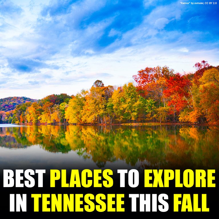 Top Places to Explore in Tennessee This Fall