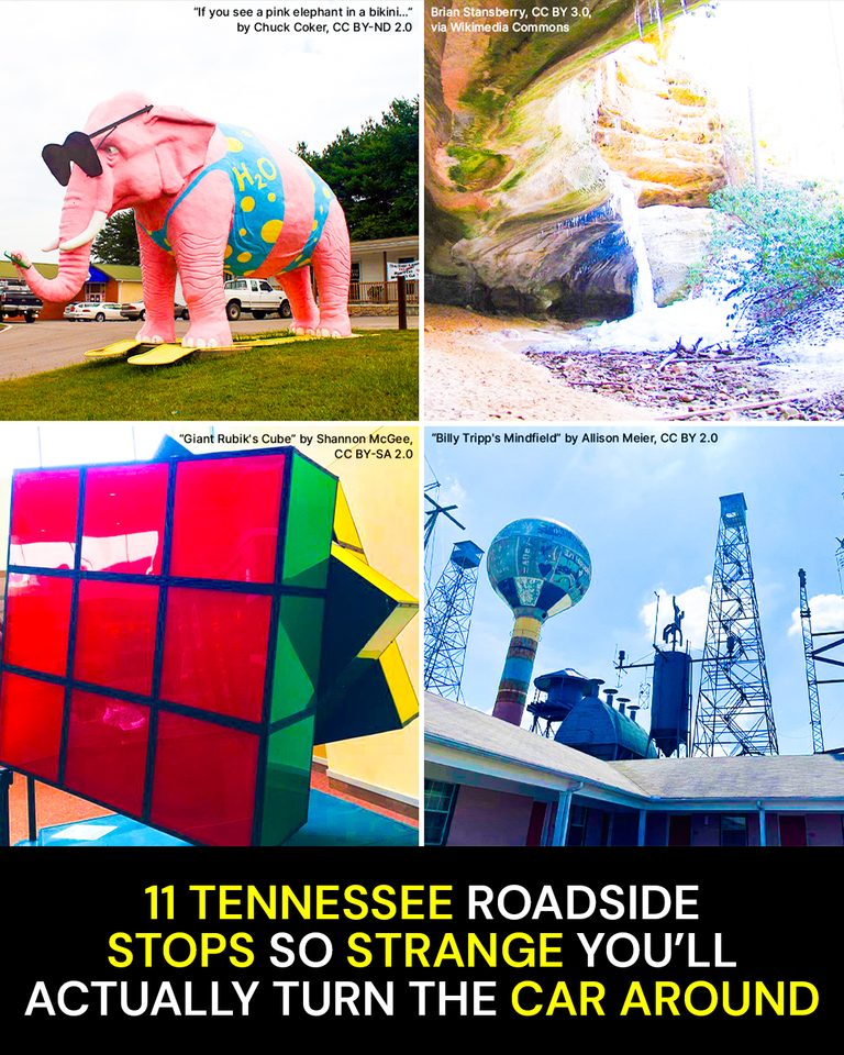 11 Tennessee Roadside Stops So Strange You’ll Actually Turn the Car Around