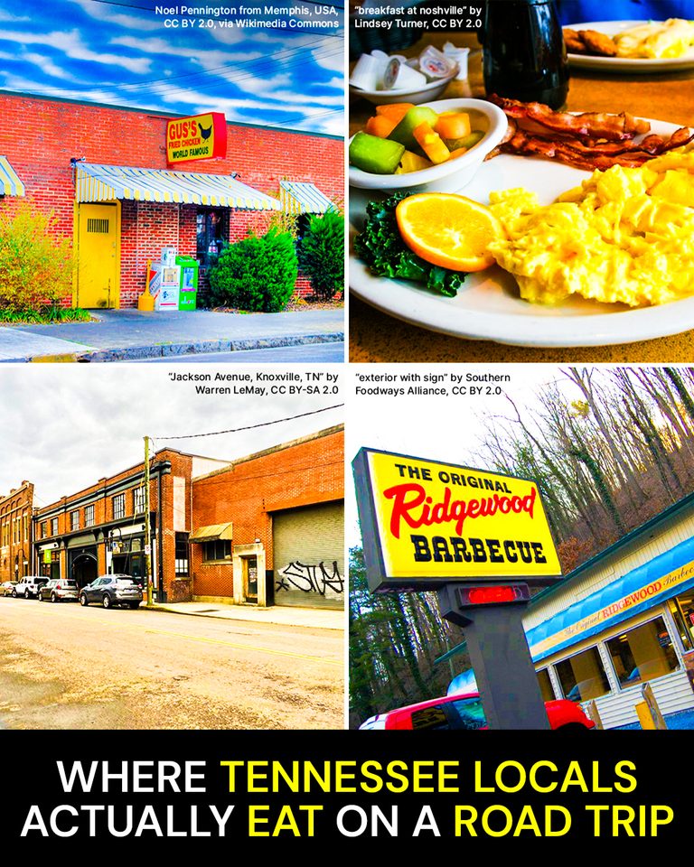 Where Tennessee Locals Actually Eat on a Road Trip