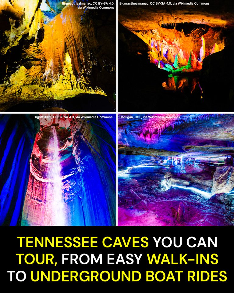 Tennessee Caves You Can Tour, From Easy Walk-Ins to Underground Boat Rides