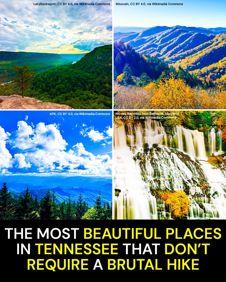 The Most Beautiful Places in Tennessee That Don’t Require a Brutal Hike