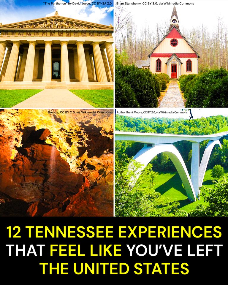 12 Tennessee Experiences That Feel Like You’ve Left the United States