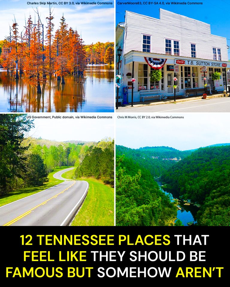 12 Tennessee Places That Feel Like They Should Be Famous—but Somehow Aren’t