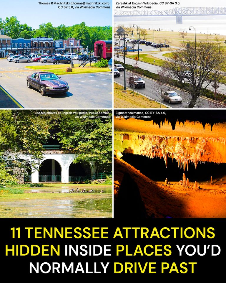 11 Tennessee Attractions Hidden Inside Places You’d Normally Drive Past
