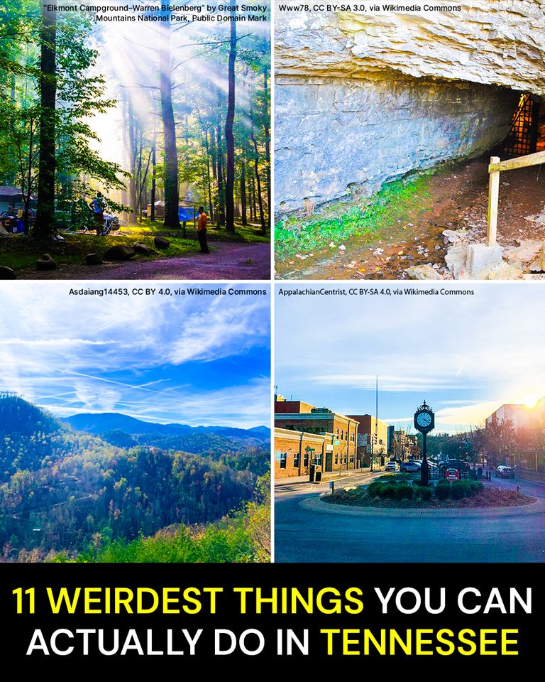 11 Weirdest Things You Can Actually Do in Tennessee